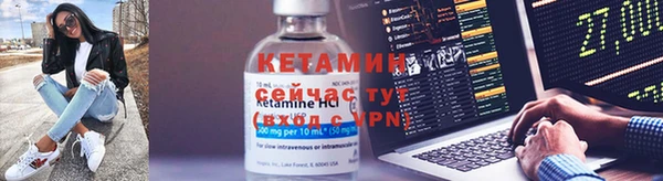 гидра Ельня