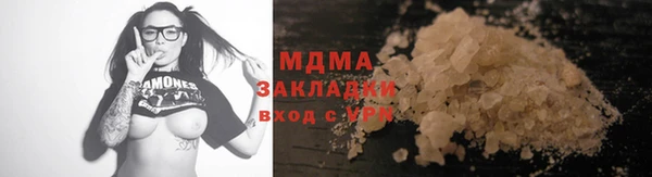 гидра Ельня