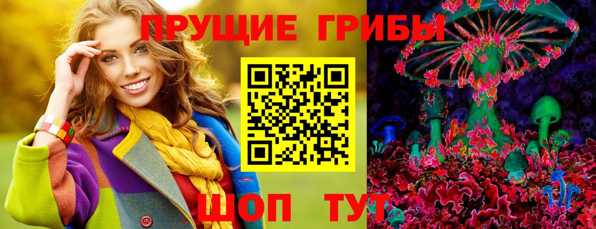 Псилоцибиновые грибы мицелий  Ефремов  Галлюциногенные грибы Psilocybine cubensis 