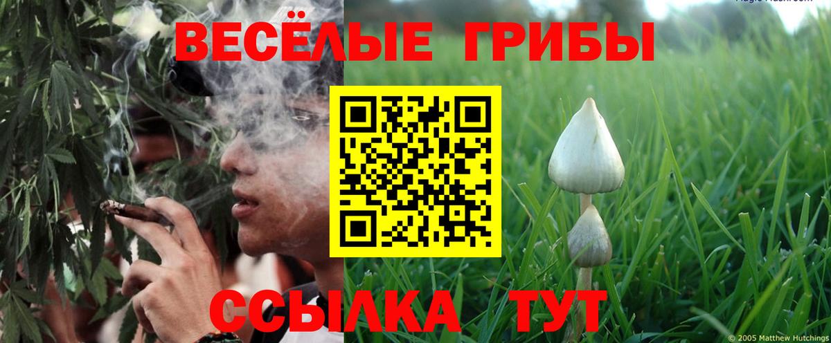 Галлюциногенные грибы Cubensis  Вход с VPN  Ефремов  Псилоцибиновые грибы Cubensis 